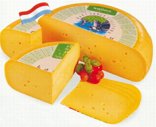 Holl. Gouda jung 48%, 12kg-Rad