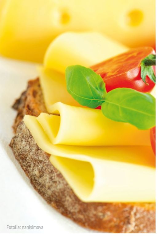 Gouda in Scheiben 48% 25*20g. Stapelpack, 500g.